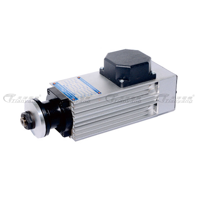 High Speed AC Electric Motors Gsb35 Series