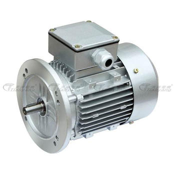 ES Three-phase Asynchronous Motor Variable Speed Motor